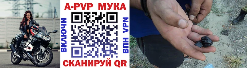 Купить закладки  Нерчинск  Alpha PVP VHQ 