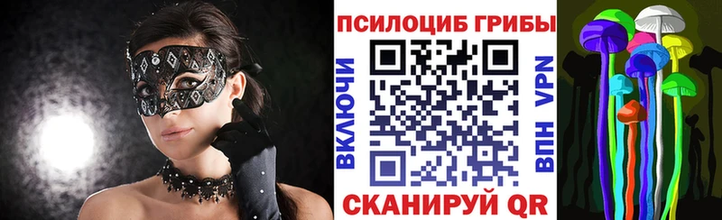 Галлюциногенные грибы Psilocybe Купить Нерчинск
